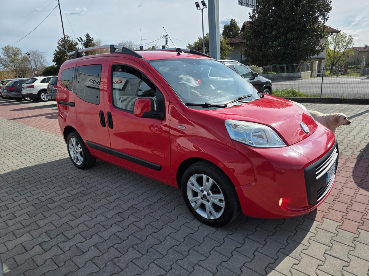 Fiat Qubo 1.3 MJT 75CV garantita 12 mesi