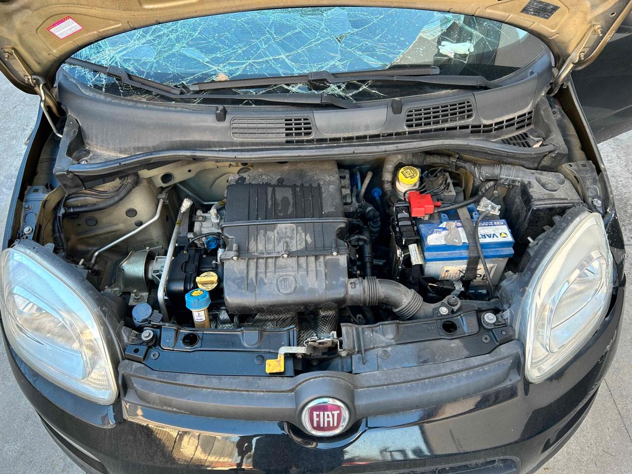 Fiat Panda 1.2 Benzina - 2017 Incidentata