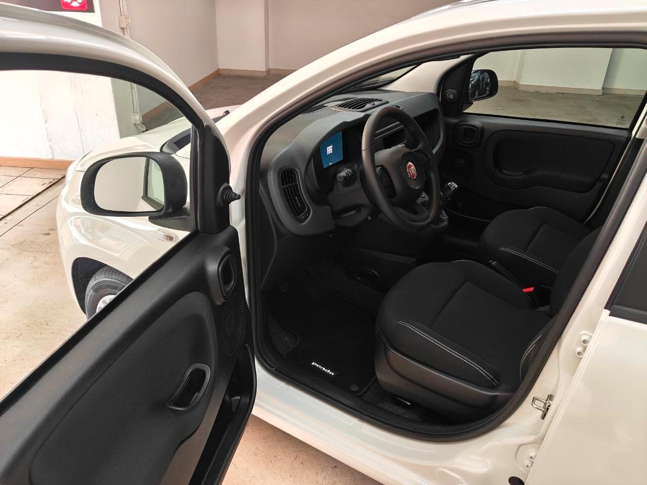 FIAT Panda 3ª serie Panda 1.0 FireFly S&S Hybr...