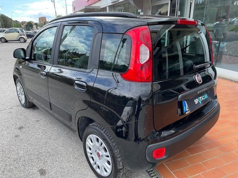 FIAT Panda Panda 1.2 Lounge