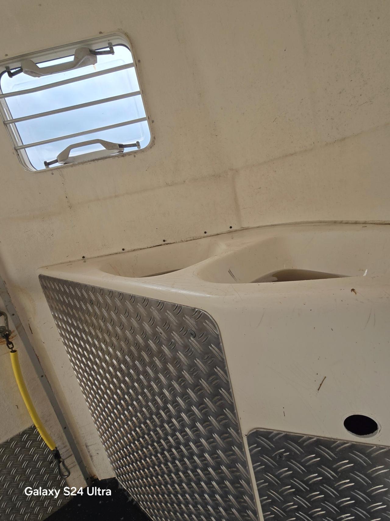 Damon Domino Trailer 2 posti cavalli