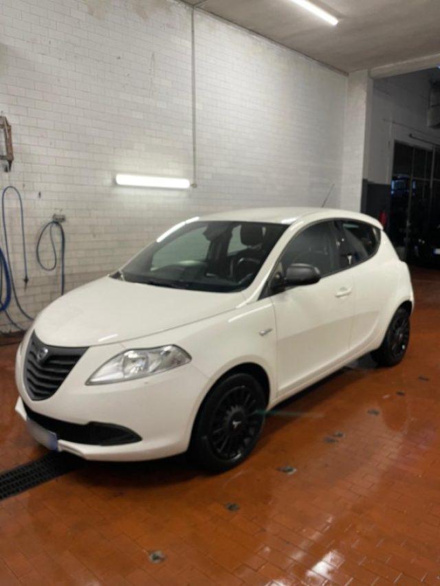 LANCIA Ypsilon 1.2 69 CV 5 porte Elefantino