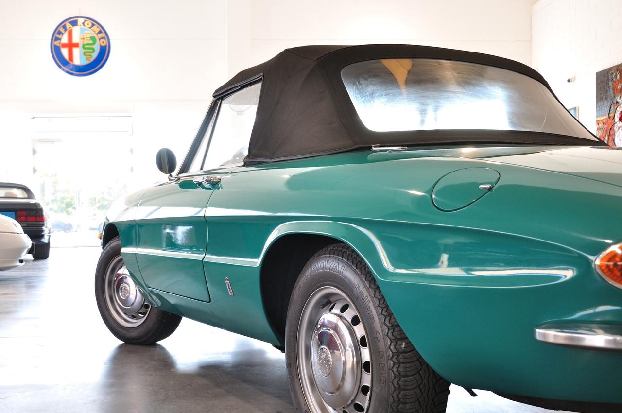 Alfa Romeo Spider 1300 Junior Duetto osso di seppia RIAR conservata