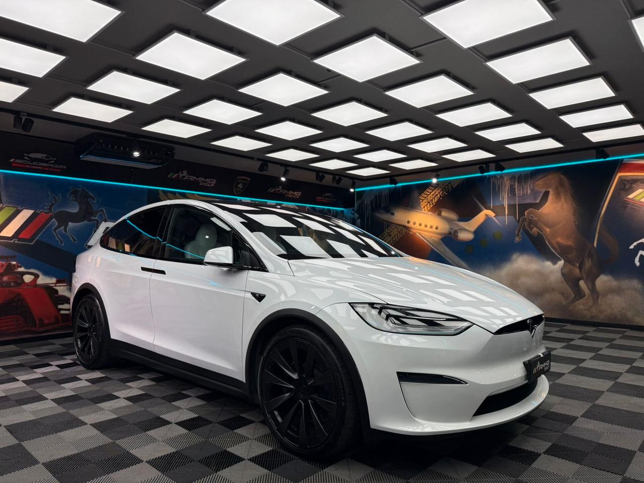 Tesla Model X LONG RANGE (329)