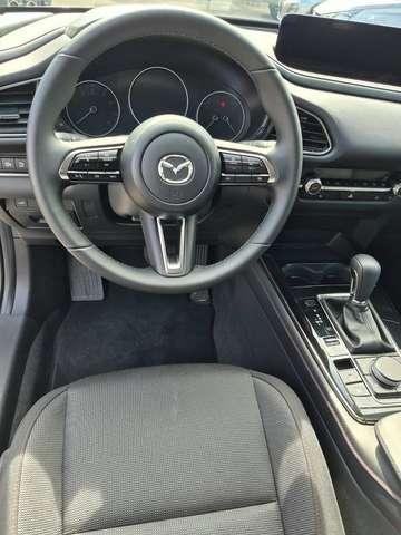 Mazda CX-30 CX-30 2.0 m-hybrid Homura 2wd 186cv 6at