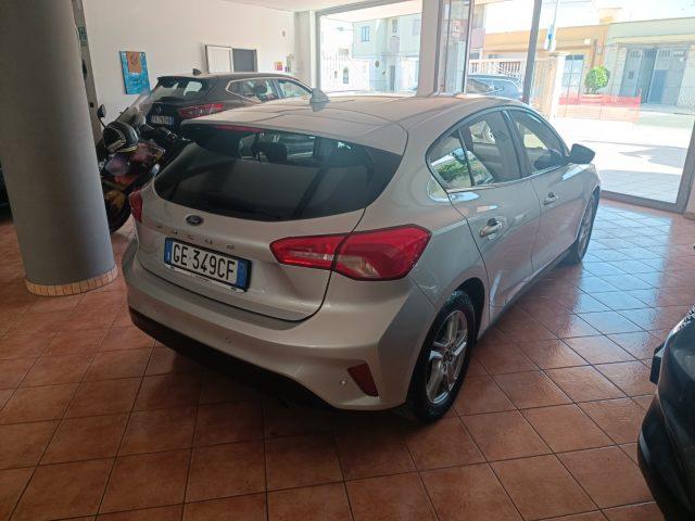 FORD Focus 1.5 EcoBlue 120 CV 5p. Business