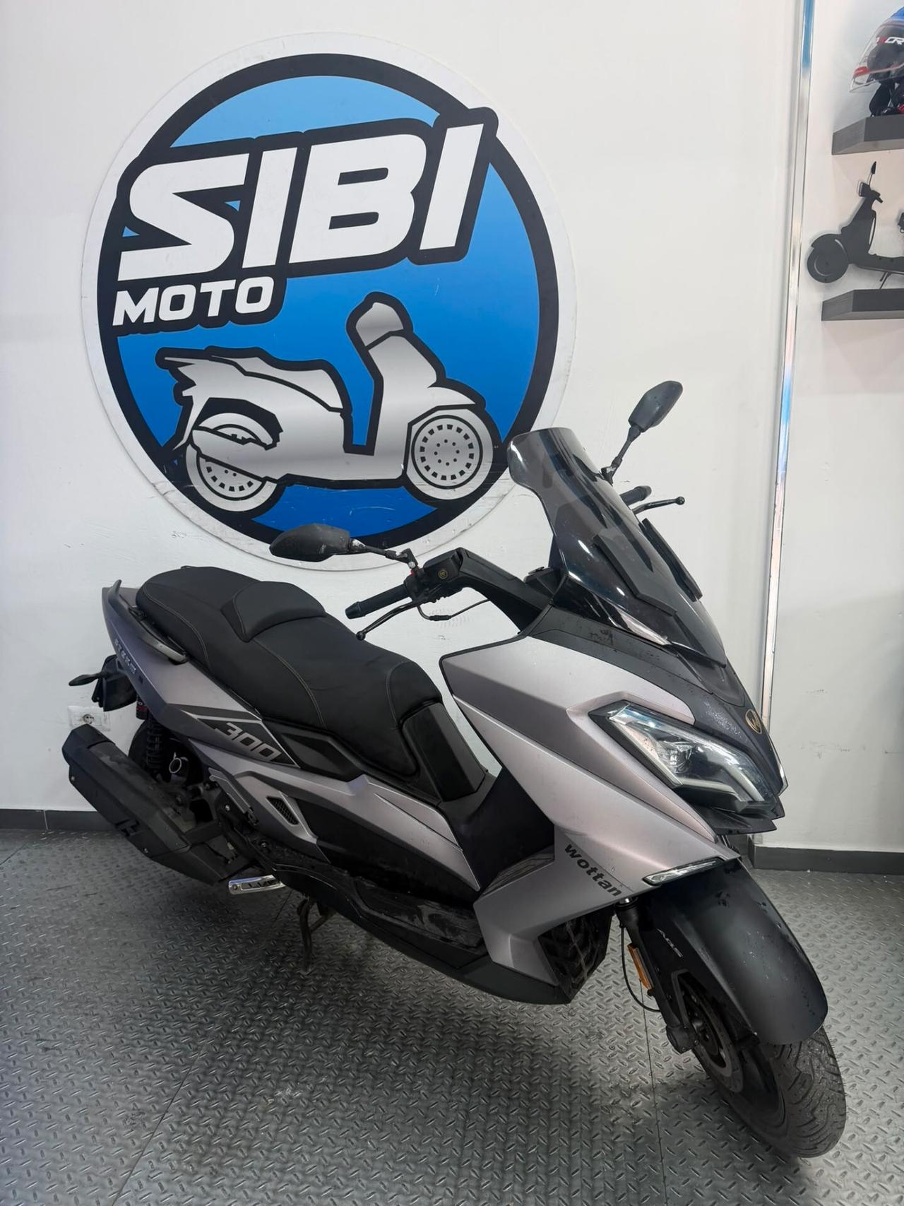 Wottan Motor Storm-S 300