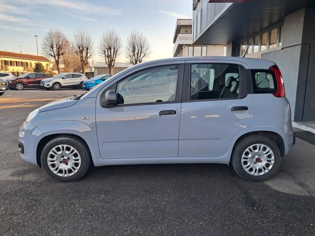 Fiat Panda 1.0 FireFly S&S Hybrid Easy - GC584