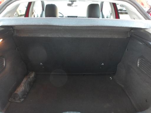 Citroen C4 Cactus 1.6 bluehdi Shine 100cv