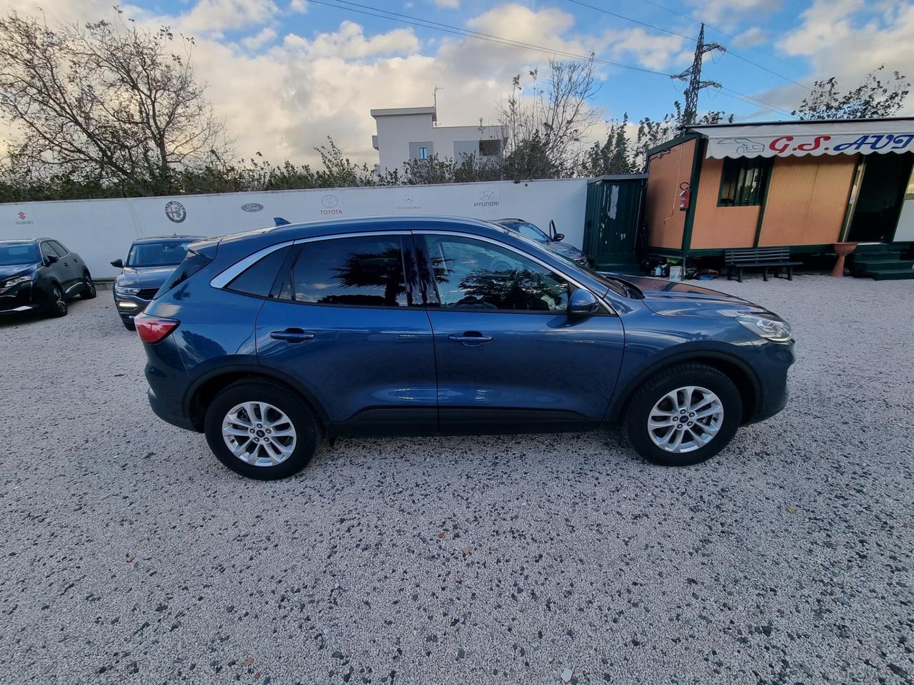 Ford Kuga 2.0 EcoBlue Hybrid 150 CV 2WD Titanium Business