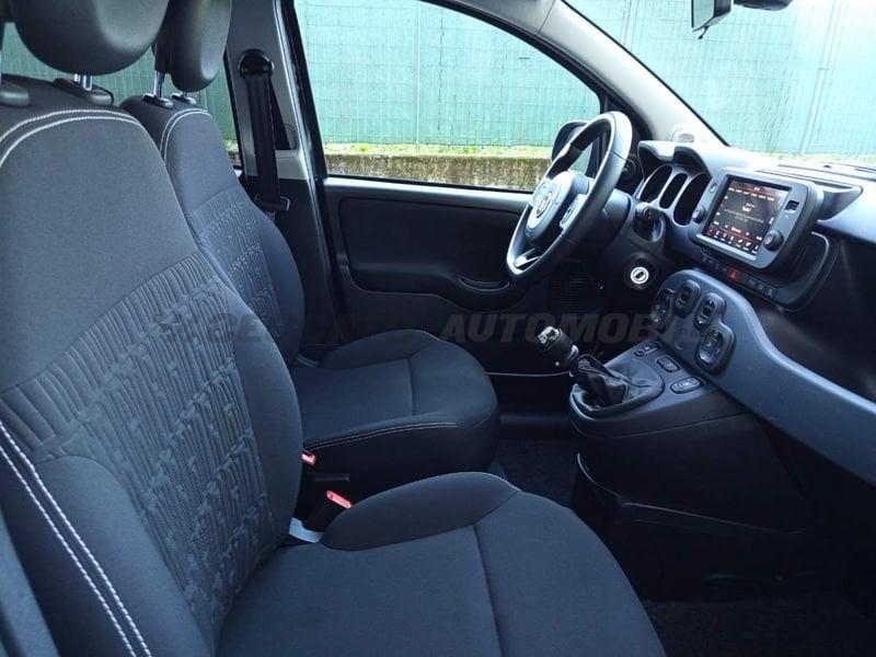 FIAT Panda Panda 1.0 firefly hybrid s&s 70cv 5p.ti