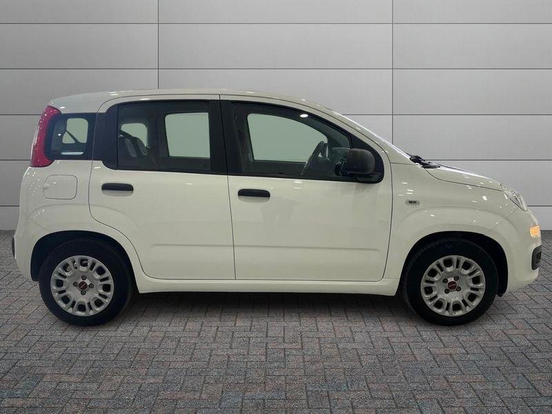 FIAT Panda Panda 1.0 firefly hybrid s&s 70cv