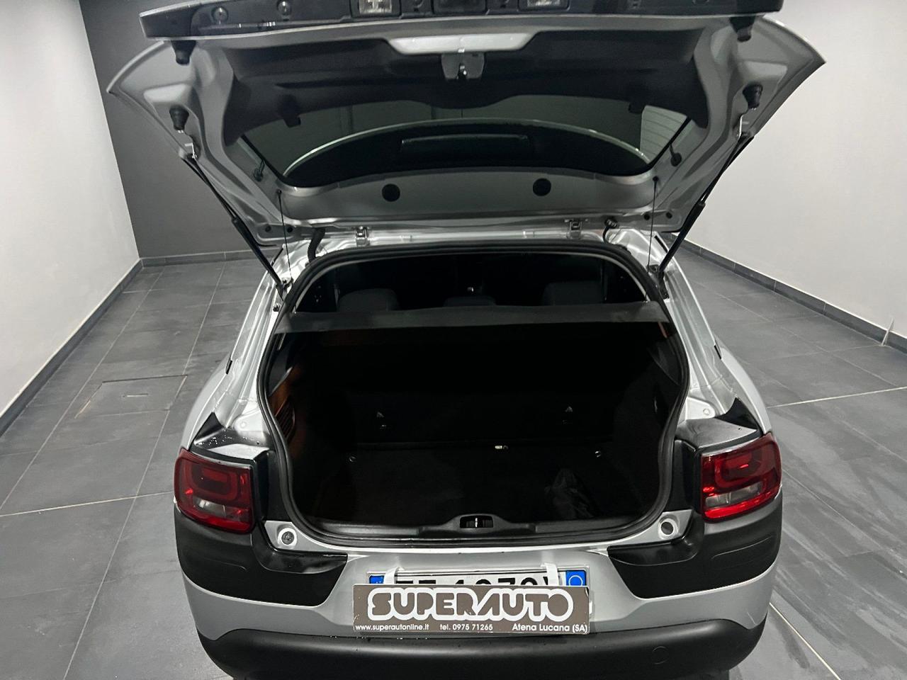 Citroen C4 Cactus BlueHDi 100 Shine