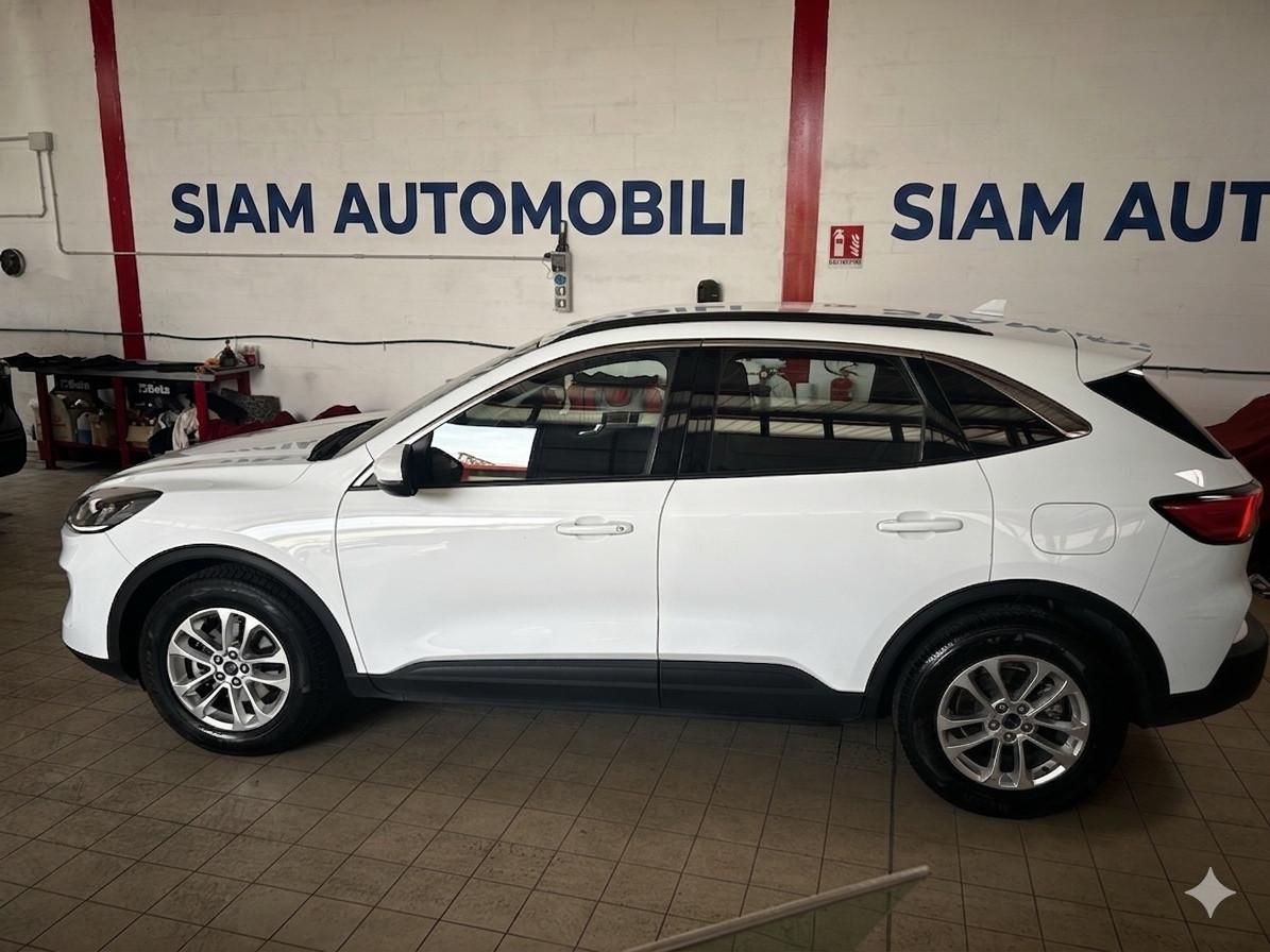 Ford Kuga 1.5 EcoBlue 120 CV aut. 2WD Titanium Business