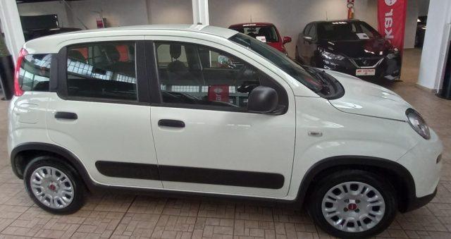 FIAT Panda 1.0 GSE S&S Hybrid Street Van 4 posti