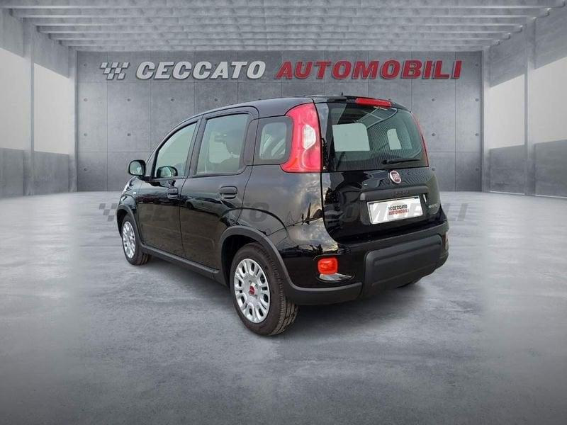 FIAT Panda Panda 1.0 firefly hybrid s&s 70cv