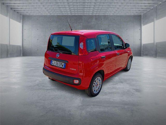 FIAT Panda 3ª serie 1.0 FireFly S&S Hybrid