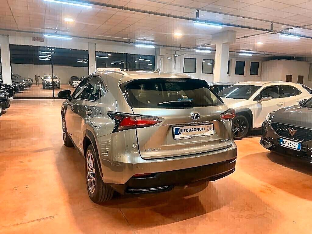 Lexus NX 300h h EXECUTIVE Hybrid 4WD PELLE