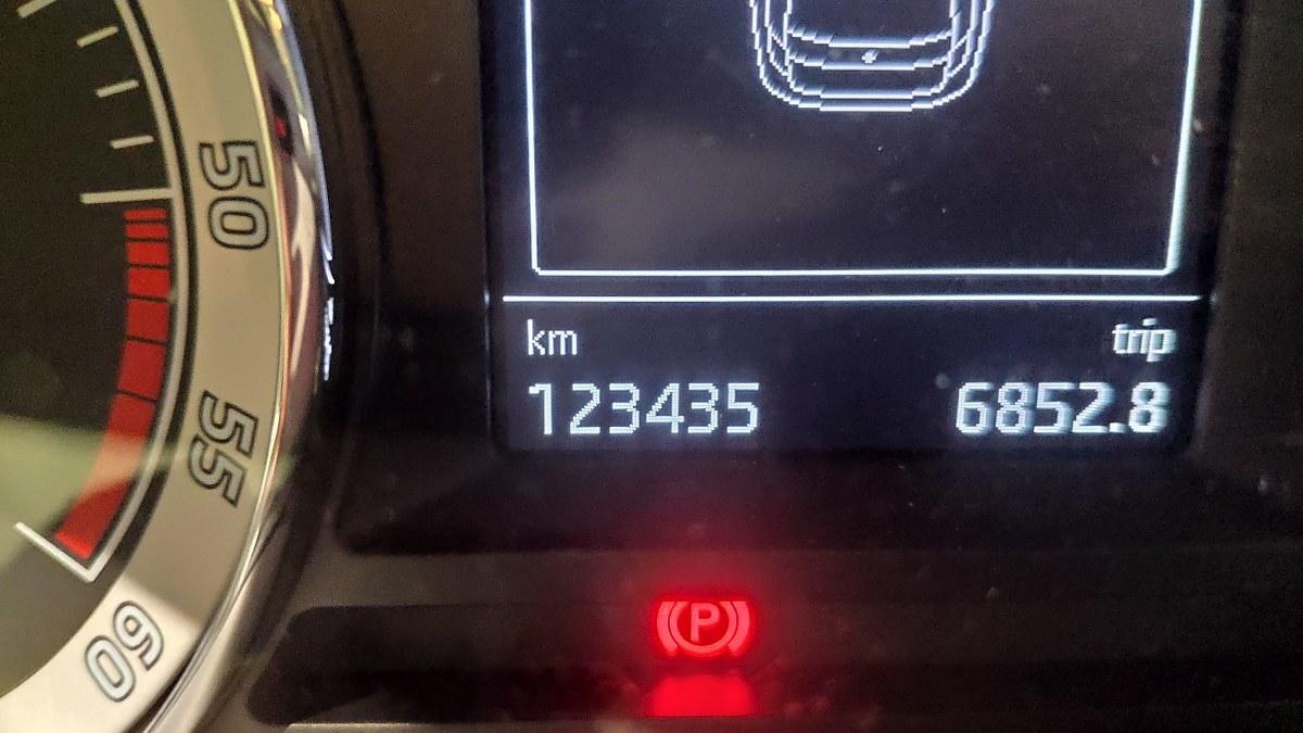 SKODA Octavia 2.0 Tdi Cr 150 Cv 4X4 Dsg Wagon Scout