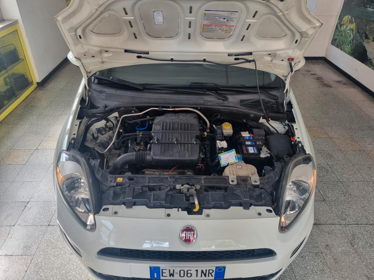 Fiat Punto 1.4 8V 5 porte Natural Power Street
