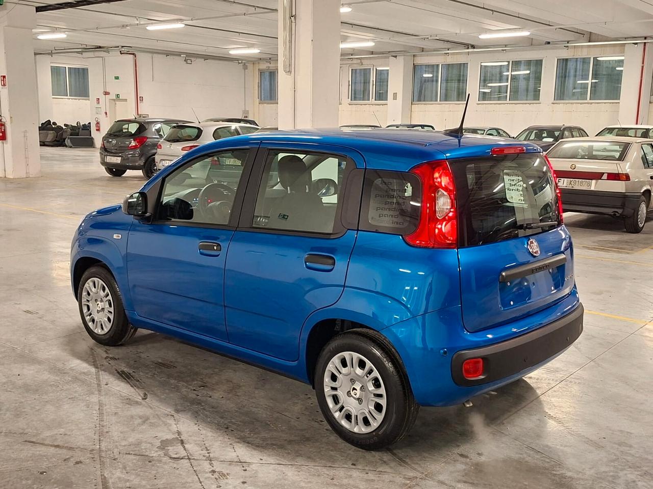 Fiat Panda 1.0 FireFly Hybrid 70CV Icon Km.0 (756)