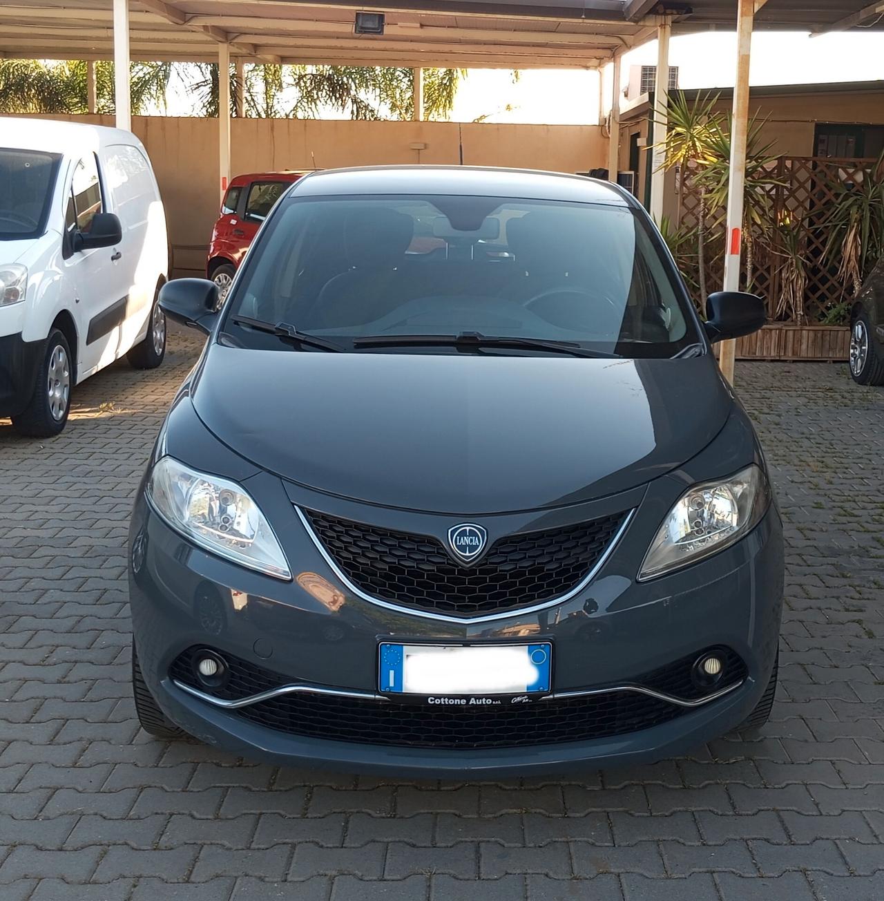 Lancia Ypsilon 1.2 69 CV 5 porte Gold