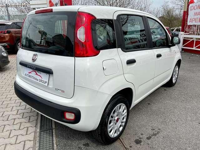 Fiat Panda Panda 1.2 Easy*NO OBBLIGO FINANZIAMENTO* PRONTA