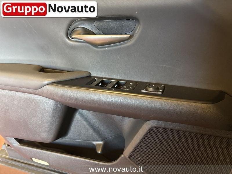 Lexus UX UX250H DESIGN 4WD