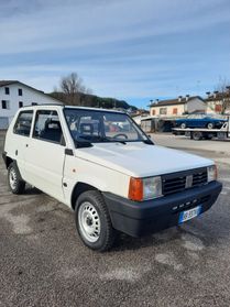 Fiat Panda 900 i.e. cat Young