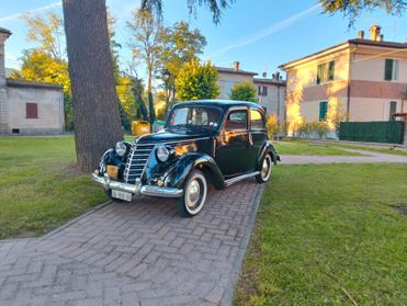 FIAT 1100 MUSONE