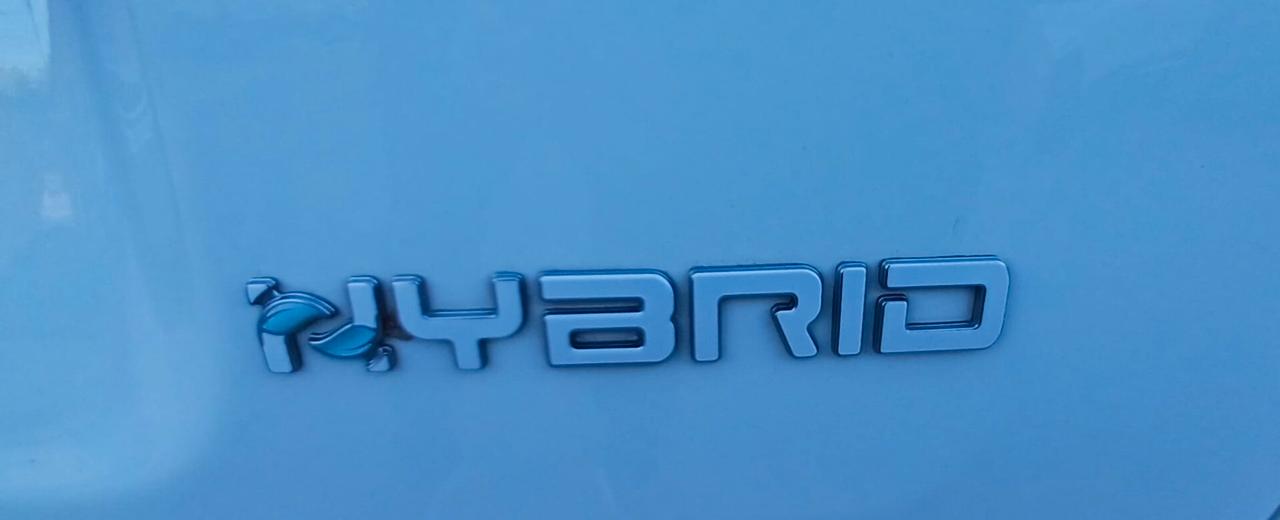Fiat Panda 1.0 FireFly S&S Hybrid
