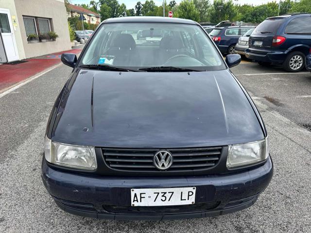 VOLKSWAGEN Polo 1.4 cat 5 porte Comfort