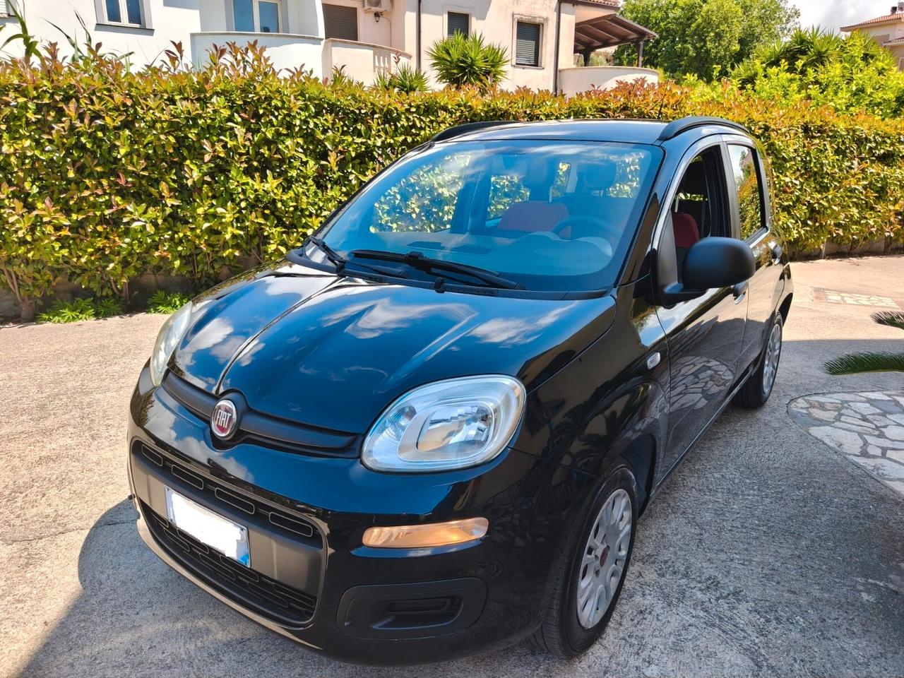 Fiat Panda 1.2 Benzina - 2015