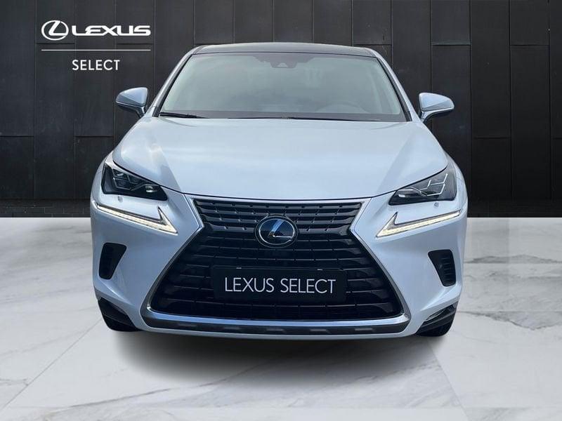 Lexus NX NX 300h 2.5 Luxury 4wd cvt IVA ESPOSTA