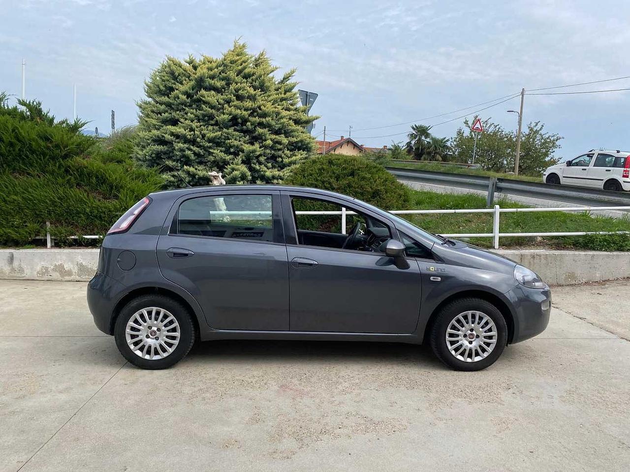 Fiat Punto 1.2 8V 5 porte Young