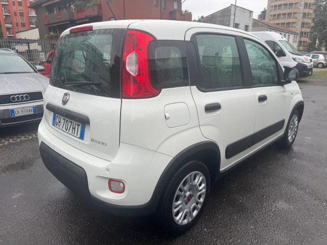 FIAT Panda 1.0 GSE S&S Hybrid Street (AUTOCARRO N1)