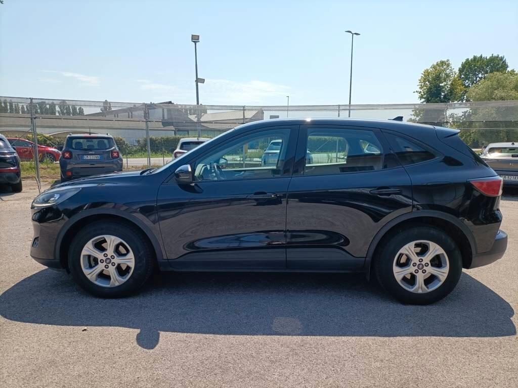 Ford Kuga 1.5 EcoBlue 120 CV aut. 2WD Connect