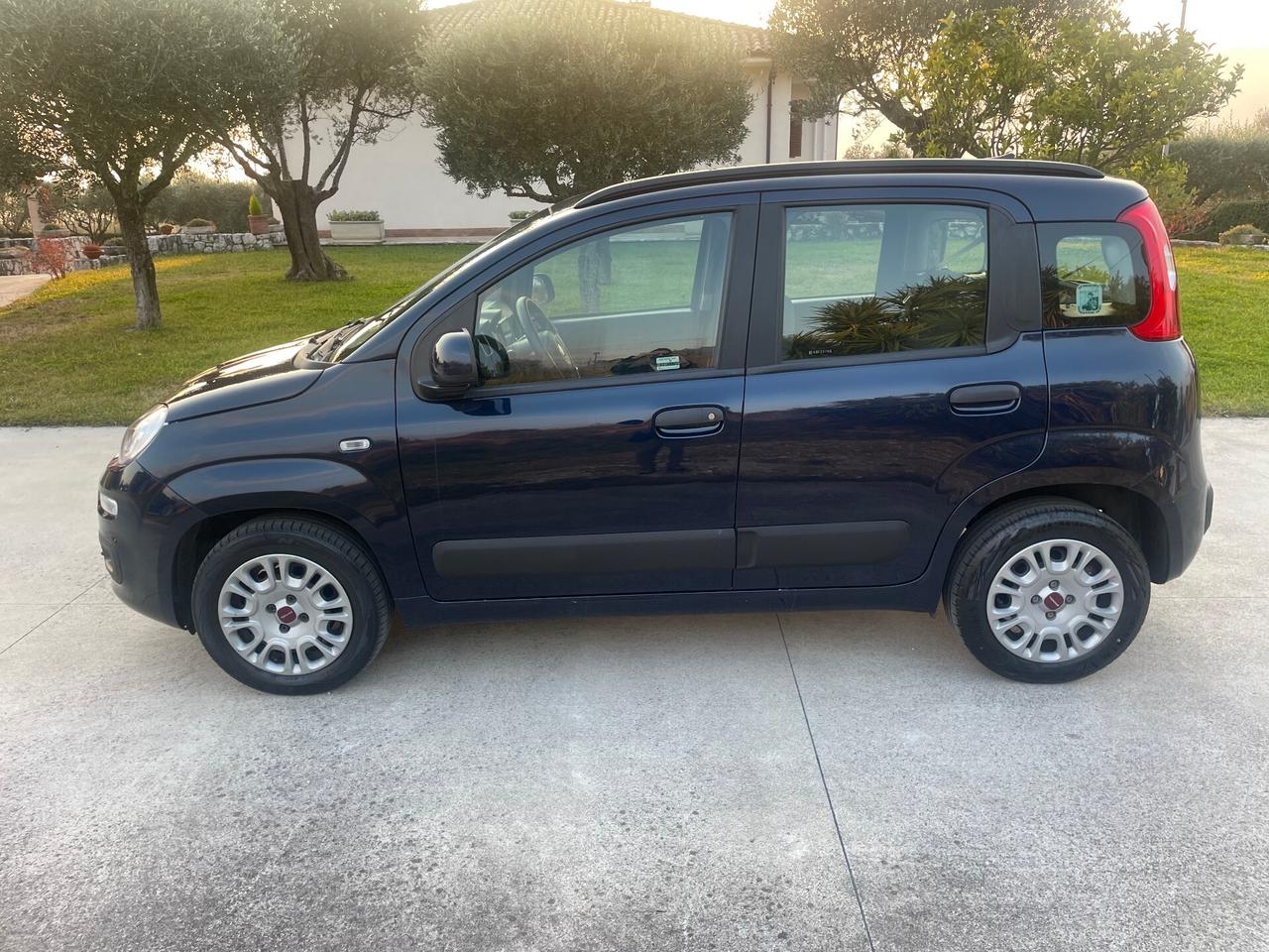 Fiat Panda 1.2 BENZINA LOUNGE 12 MESI DI GARANZIA