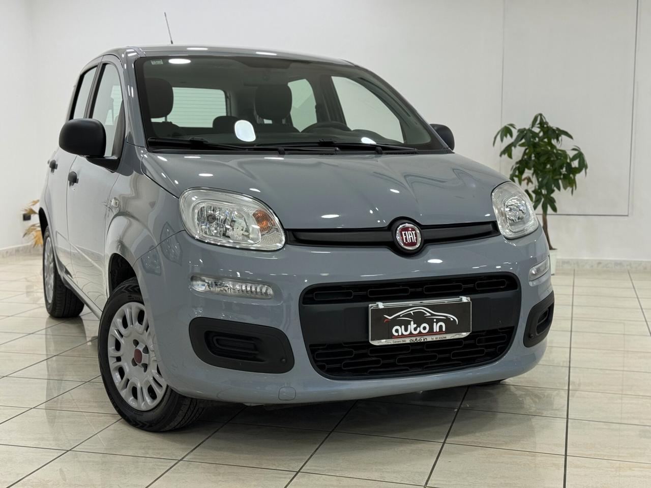 Fiat Panda 1.2 Easy