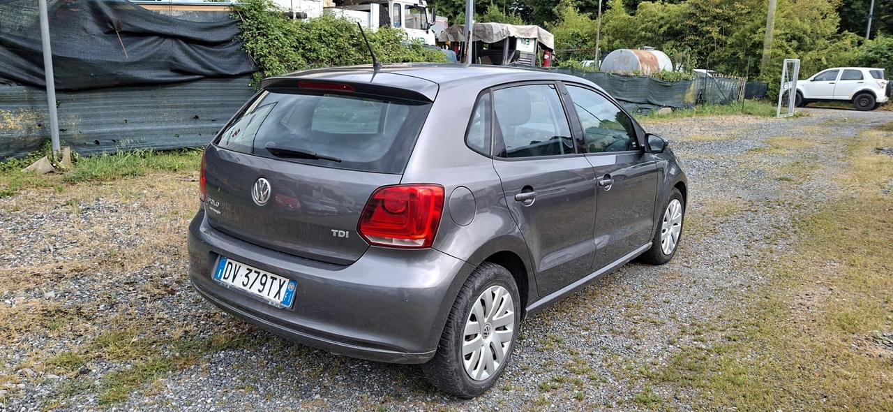 Volkswagen Polo 1.6 TDI DPF 5 porte Comfortline