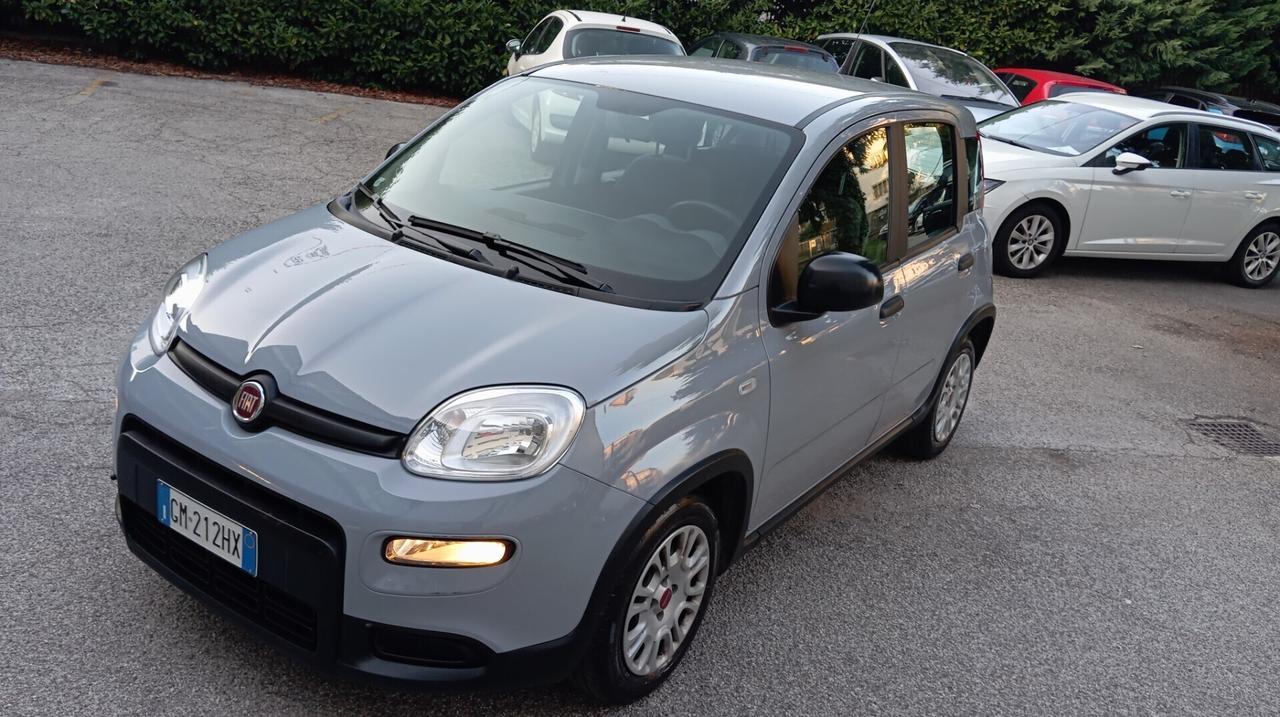 Fiat Panda 1.0 FireFly S&S Hybrid City Life