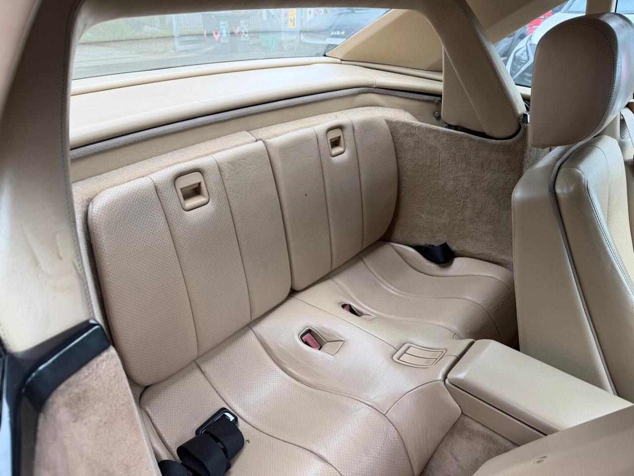 Mercedes-benz SL 300 SL-24 cat