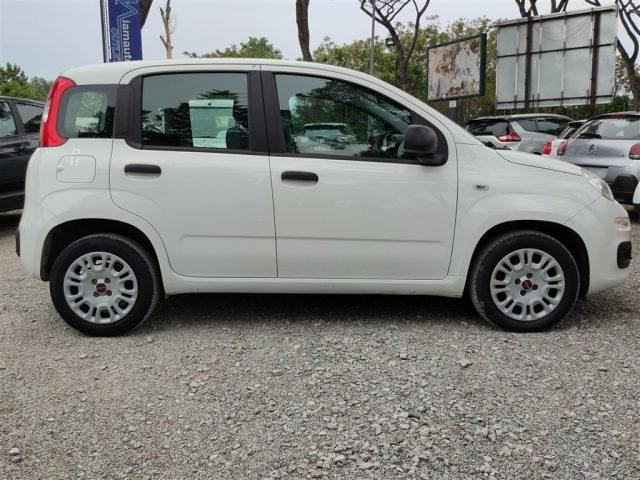 FIAT Panda 1.2 Easy CLIMATIZZATORE OK NEOPATENTATI ..