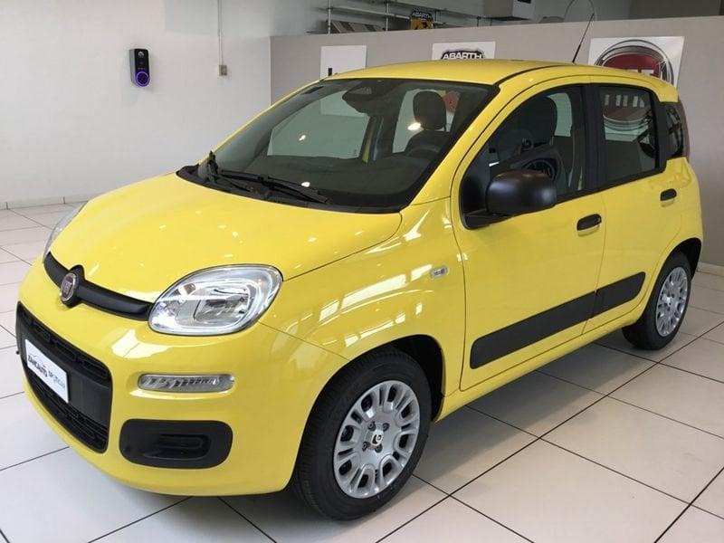 FIAT Panda Panda 1.0 FireFly S&S Hybrid Pop 65cv