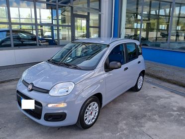 Fiat Panda 1.2 69cv Pop anno 2019