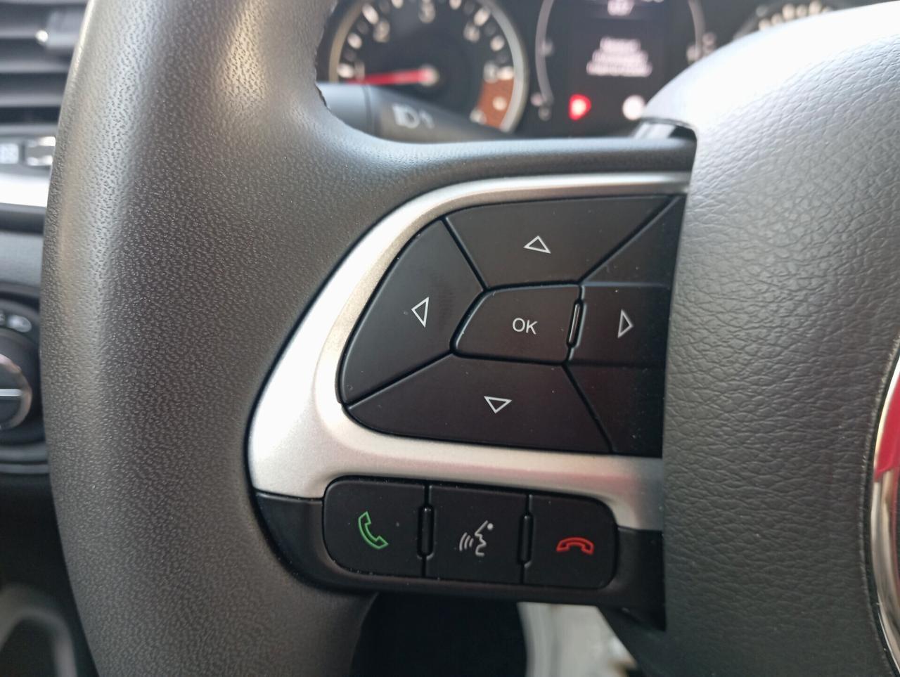 Jeep Renegade 1.6 Mjt 120 CV Business