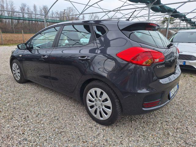 KIA Ceed 1.6 CRDi 110 CV 5 porte Active