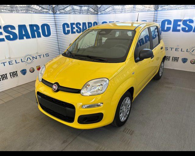 FIAT Pandina 1.0 firefly hybrid Icon s&s 65cv 5p.ti