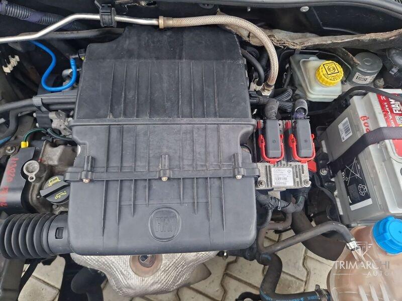 FIAT Punto Punto Evo 1.4 5 porte Dynamic Natural Power