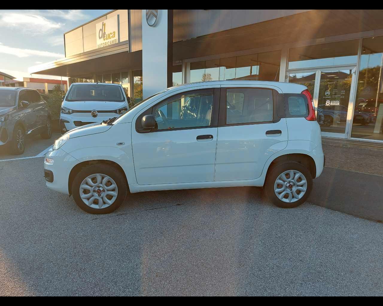FIAT Panda 3ª serie - Panda 0.9 TwinAir Turbo Natural Power Easy